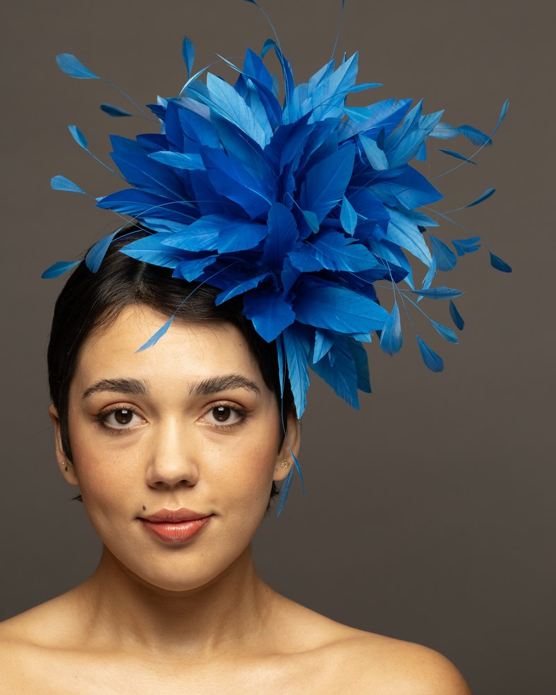 Cerulean feather