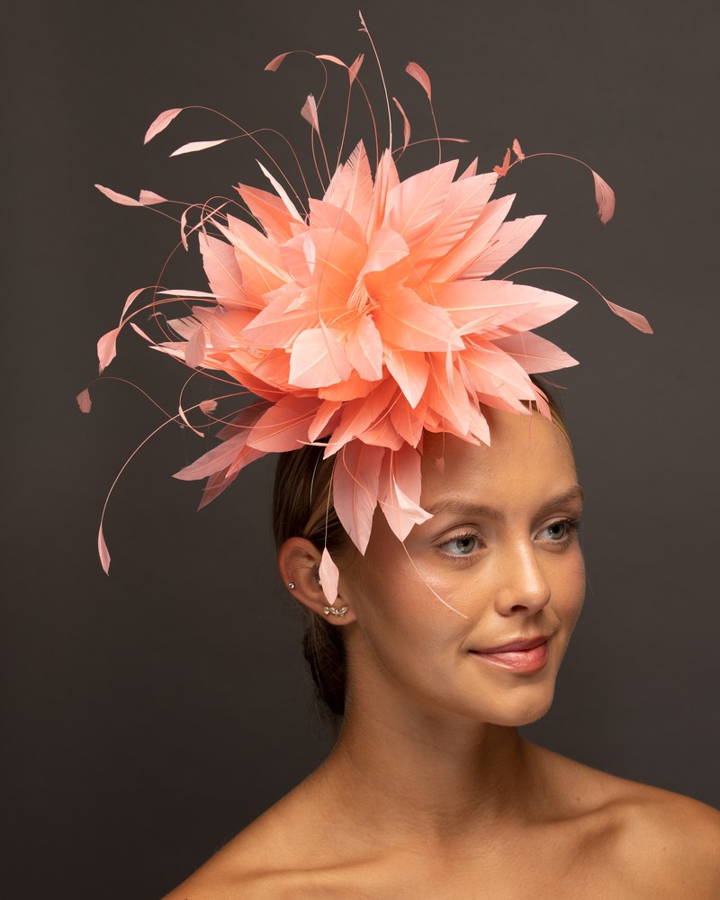 Coral feather