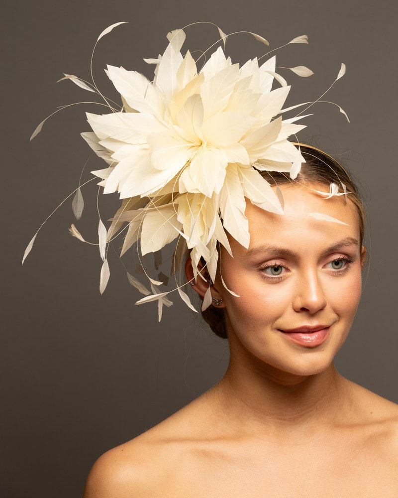 Cream feather