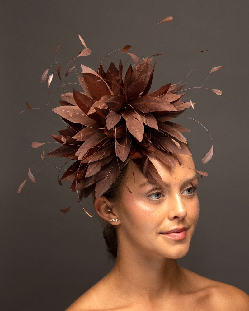 Dark Brown feather