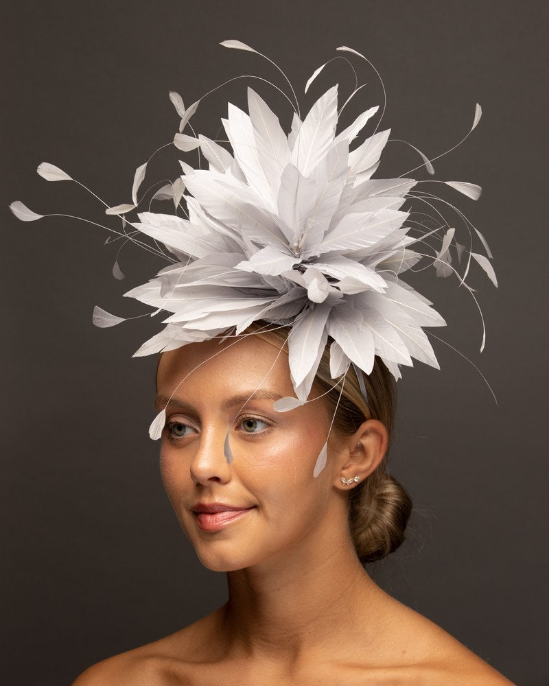 Light Gray feather