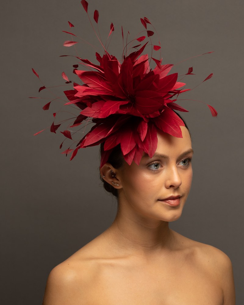 Maroon feather