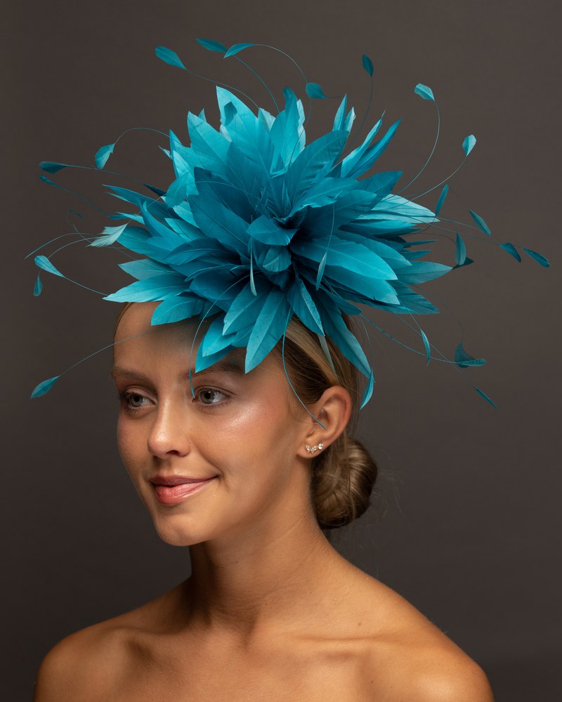 Teal feather