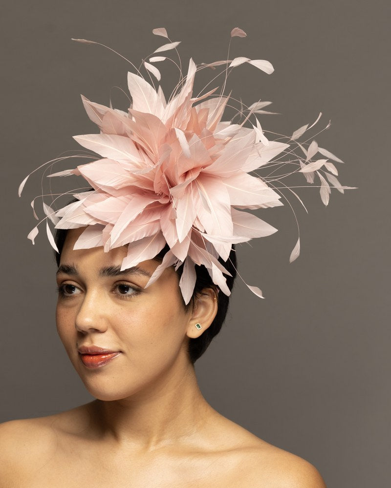 Zinat Pink feather