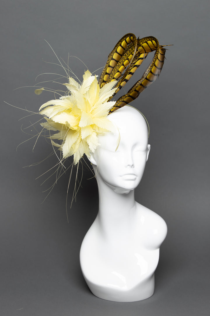 THG3657 - The Hat Girls