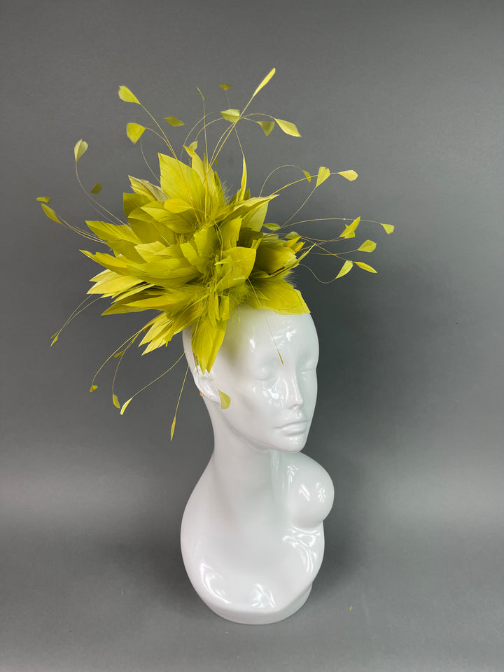 THG3911 - The Hat Girls