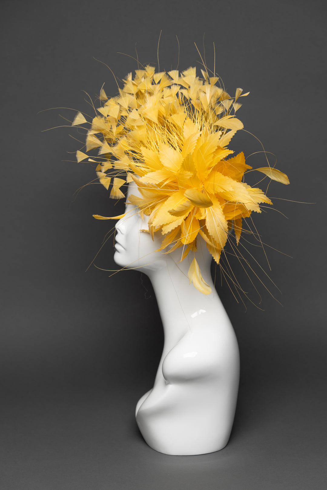 THG3249 - The Hat Girls