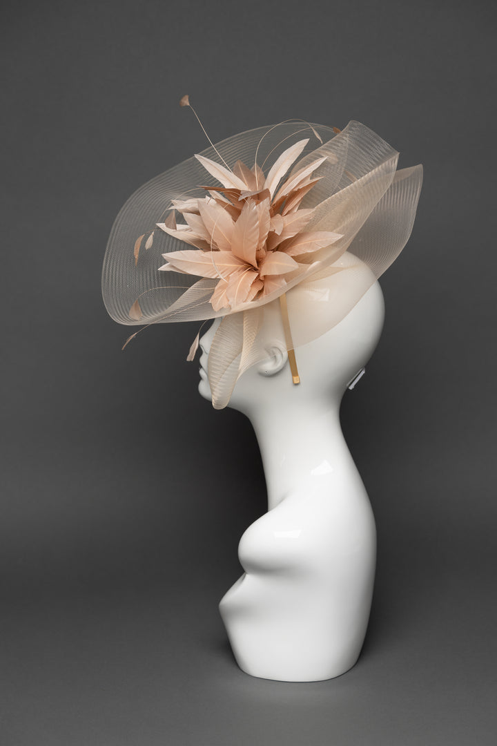 THG3273 - The Hat Girls