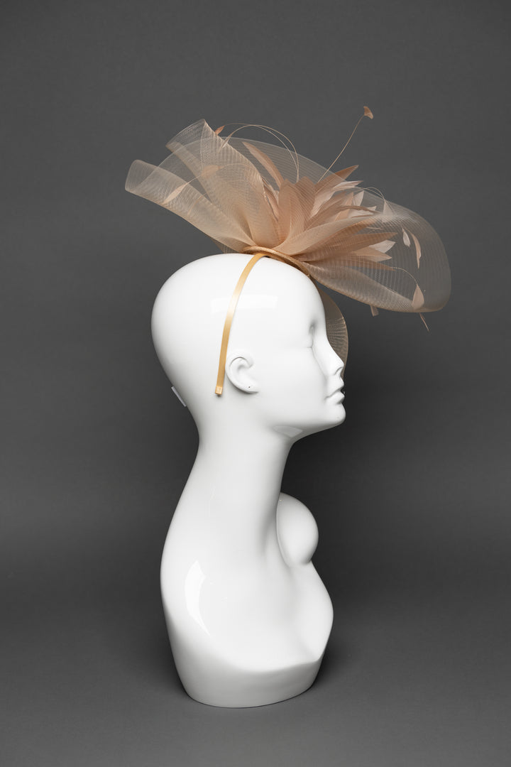 THG3273 - The Hat Girls