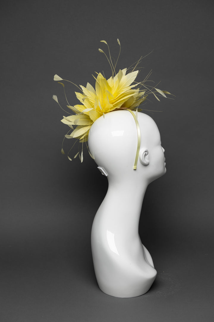 THG3317 - The Hat Girls