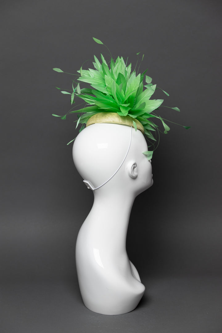 THG3501 - The Hat Girls